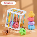 Baby Montessori Learning Educational Toy Colorful Shape Blocks