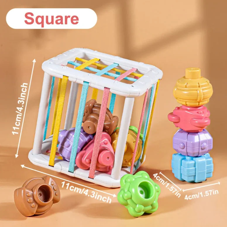 Baby Montessori Learning Educational Toy Colorful Shape Blocks