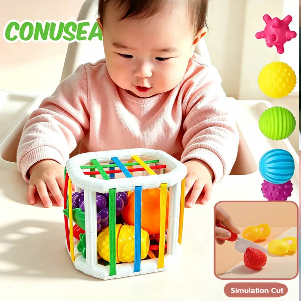 Montessori Baby Toy Sensory Development Learning Educational Toy