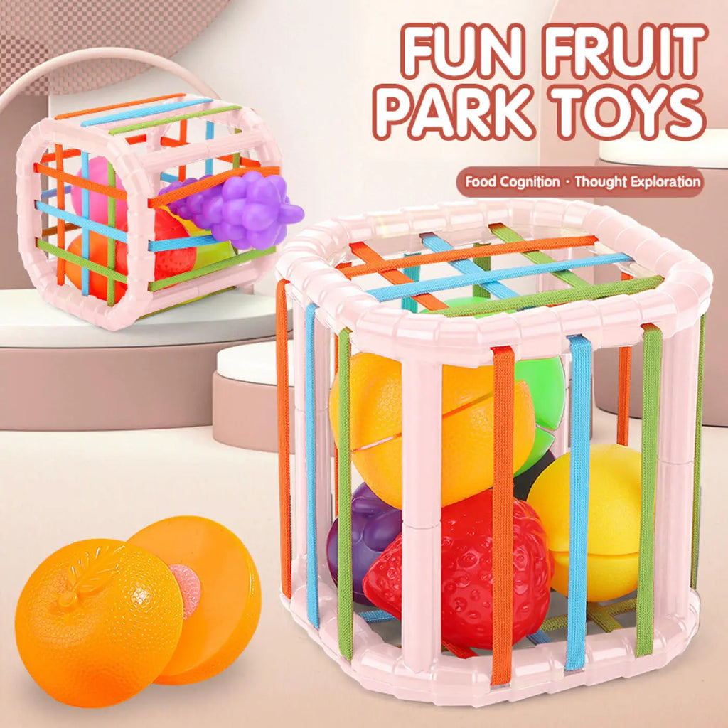 Montessori Baby Toy Sensory Development Learning Educational Toy