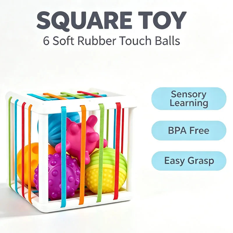 Montessori Baby Toy Sensory Development Learning Educational Toy