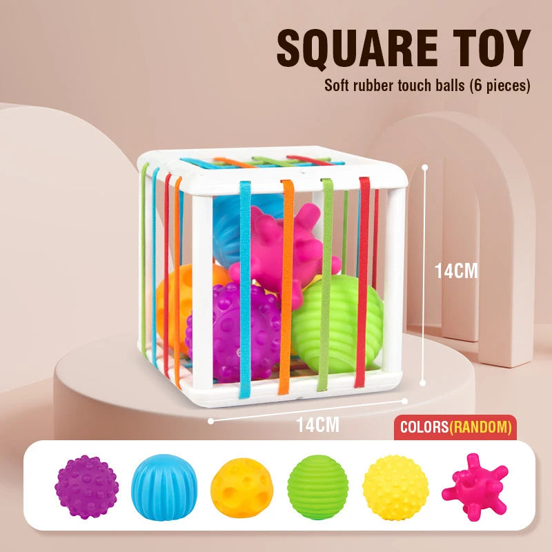 Montessori Baby Toy Sensory Development Learning Educational Toy